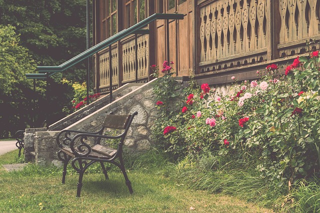 一个值得分 一个值得分