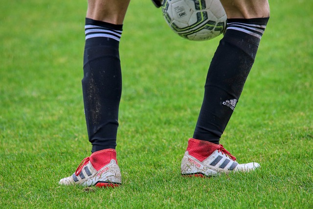 能够极大提 能够极大提