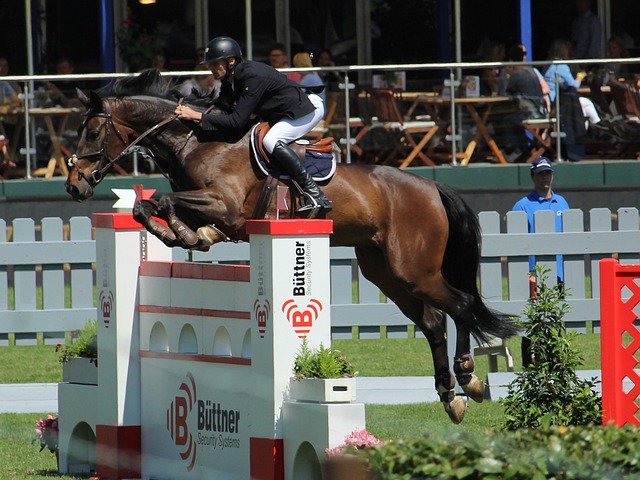 媒体的合作 媒体的合作