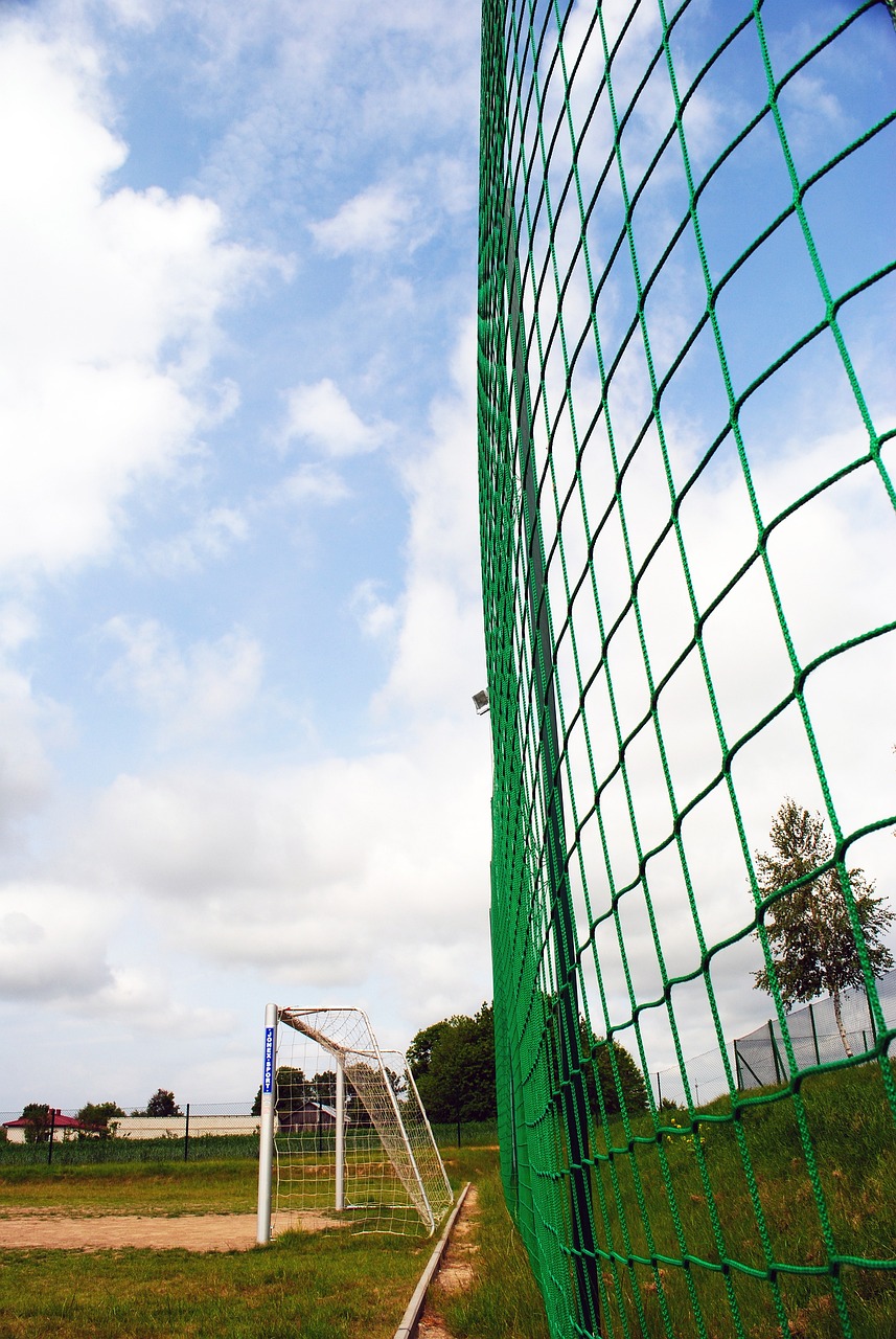 了更多选择 了更多选择