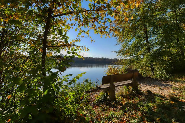 在这场焦点 在这场焦点