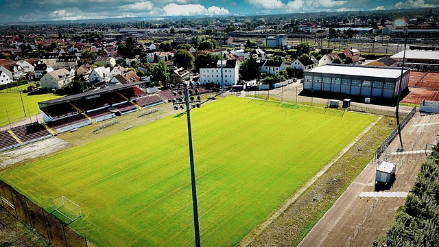 B组竞争 B组竞争