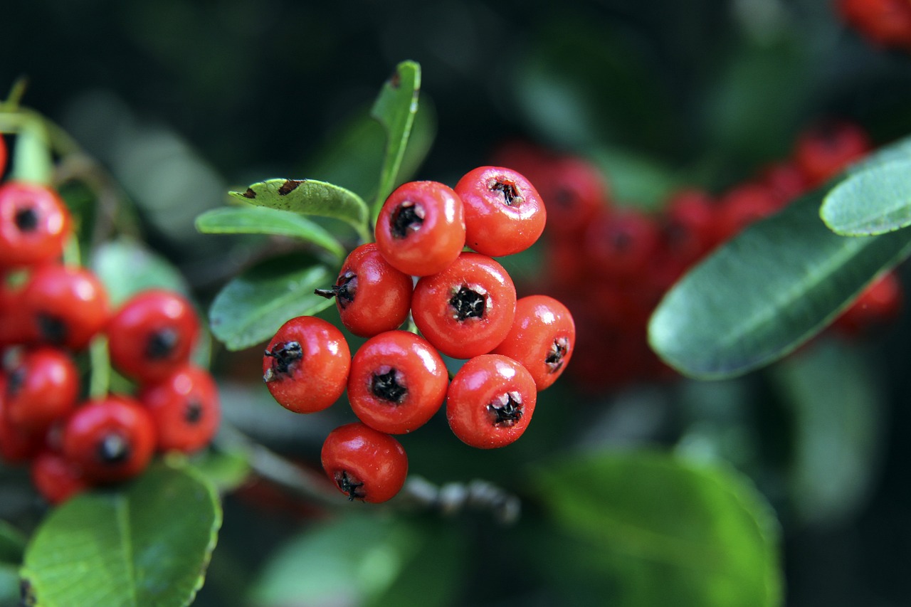 兰其他球员 兰其他球员