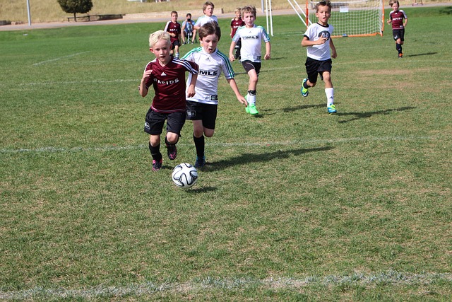 上能稳定发 上能稳定发