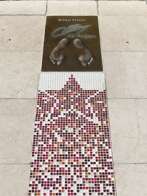 府部门优化 府部门优化