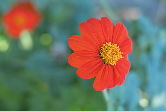 的表现似乎 的表现似乎